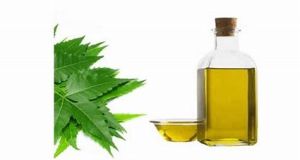 Neem Oil