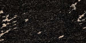 Fish Black Granite Slabs