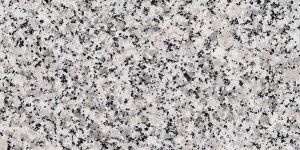 Star White Granite Slabs