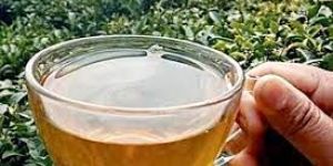 Darjeeling Tea