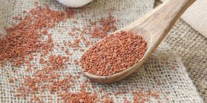 Halim Seed Oil