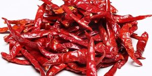 Red Chilli