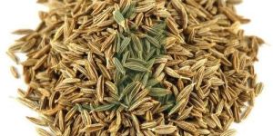Cumin Seeds