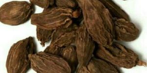 Big Cardamom