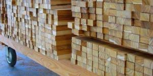 Teak Wood