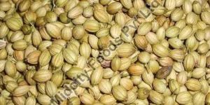 Coriander Seeds