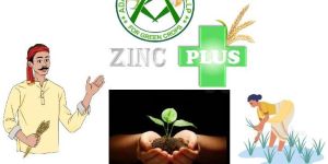 Zinc Plus Fertilizer