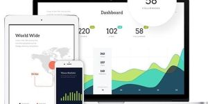 Web Development Services