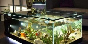 Coffee Aquarium Table
