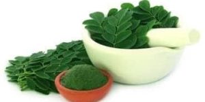 Moringa Leaves Powder