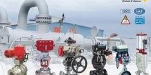 Pneumatic Control Valve