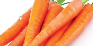 Fresh Carrot
