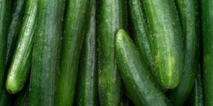 Fresh Cucumber