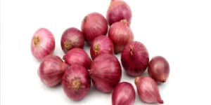 Fresh Red Onion