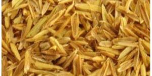 Rice Husk