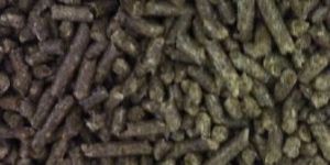 Sawdust Biomass Pellet