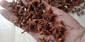 Star Anise