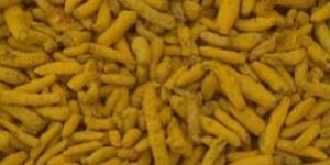 Baba 333 Turmeric Finger