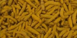 Baba 5001 Turmeric Finger