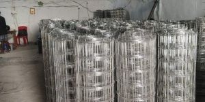 Welded Wire Mesh