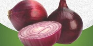 Onion