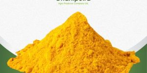 Turmeric Powder