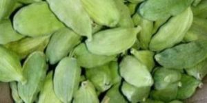 Cardamom