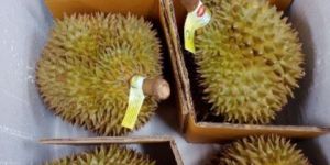 Durian