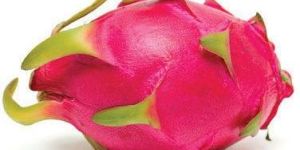 Fresh Dragon Fruit