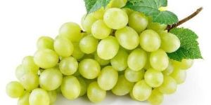 Fresh Grapes