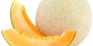 Fresh Muskmelon