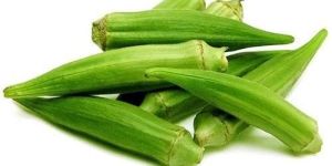 Fresh Okra