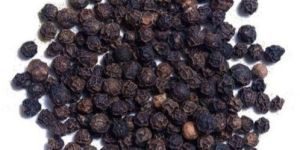 Black Pepper Seeds