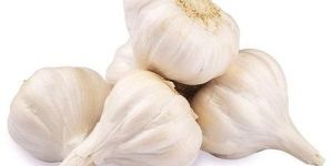 Fresh Garlic