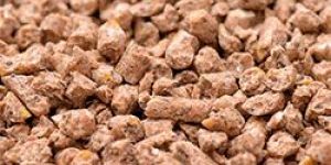 Cattle Feed Supplement