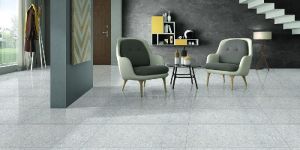 Double Charge Vitrified Tiles