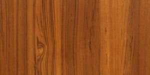 Veneer Plywood