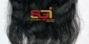 Human Hair HD Lace Frontal