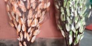 Decorative Dry Flowers