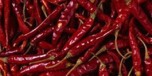 Red Chilli