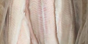 Frozen Basa Fish Fillet