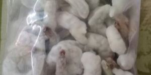 Frozen Prawns