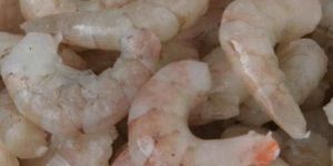 Frozen Shrimp