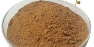 Ashwagandha Extract