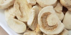 Dehydrated Mushroom