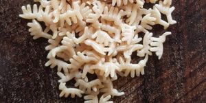 Animal Shape Fryums