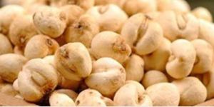 Fritillaria Carrihose - Wild Garlic