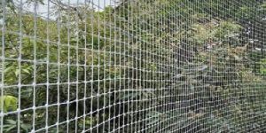 Anti Bird Net