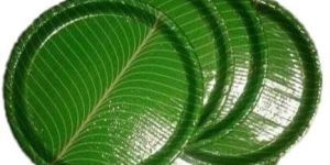 Banana Leaf Paper Plate
