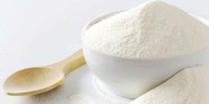 Lactose Powder
